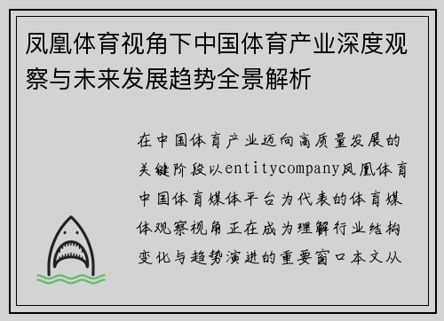 凤凰体育视角下中国体育产业深度观察与未来发展趋势全景解析
