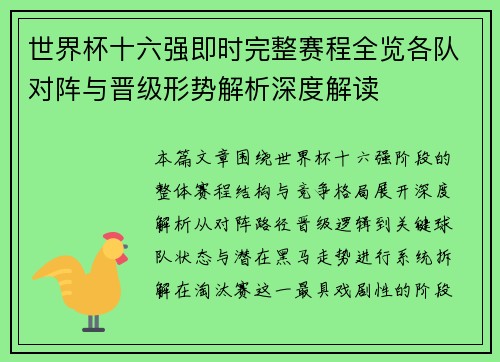 世界杯十六强即时完整赛程全览各队对阵与晋级形势解析深度解读
